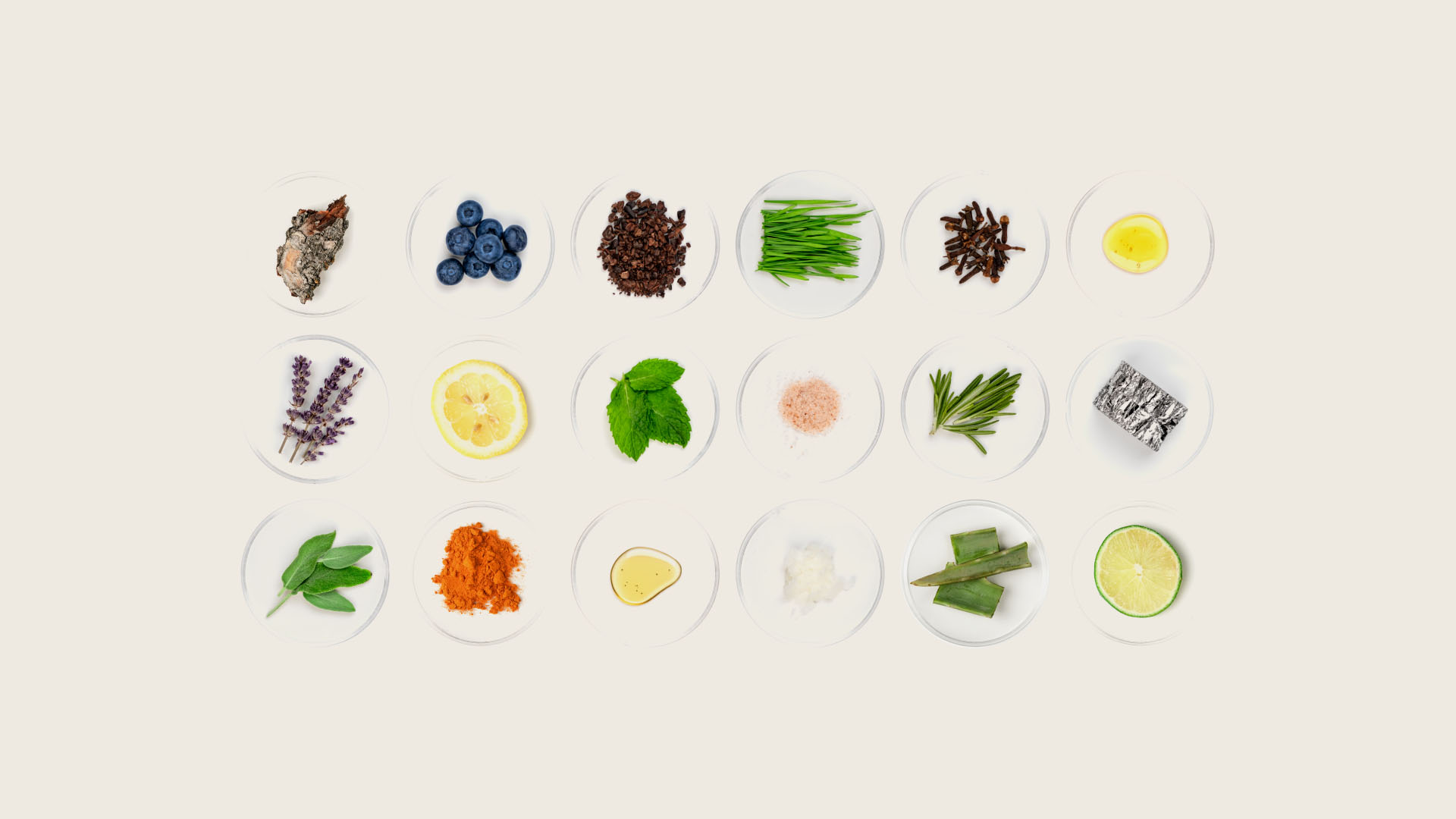 Ameo Life ingredient system Flat lay of natural ingredients used in Ameo Life supplements arranged in a grid.