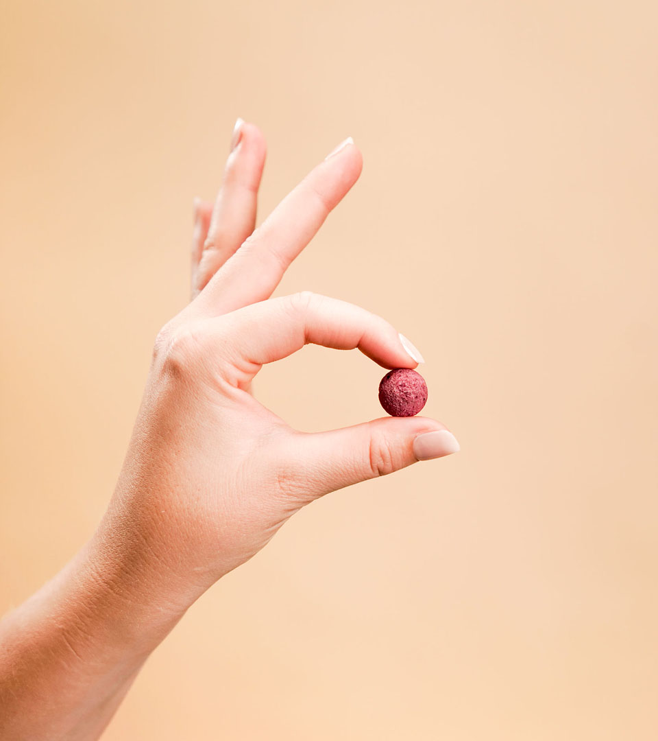 ViteBites Product Detail Hand holding a single ViteBites freeze-dried fruit supplement